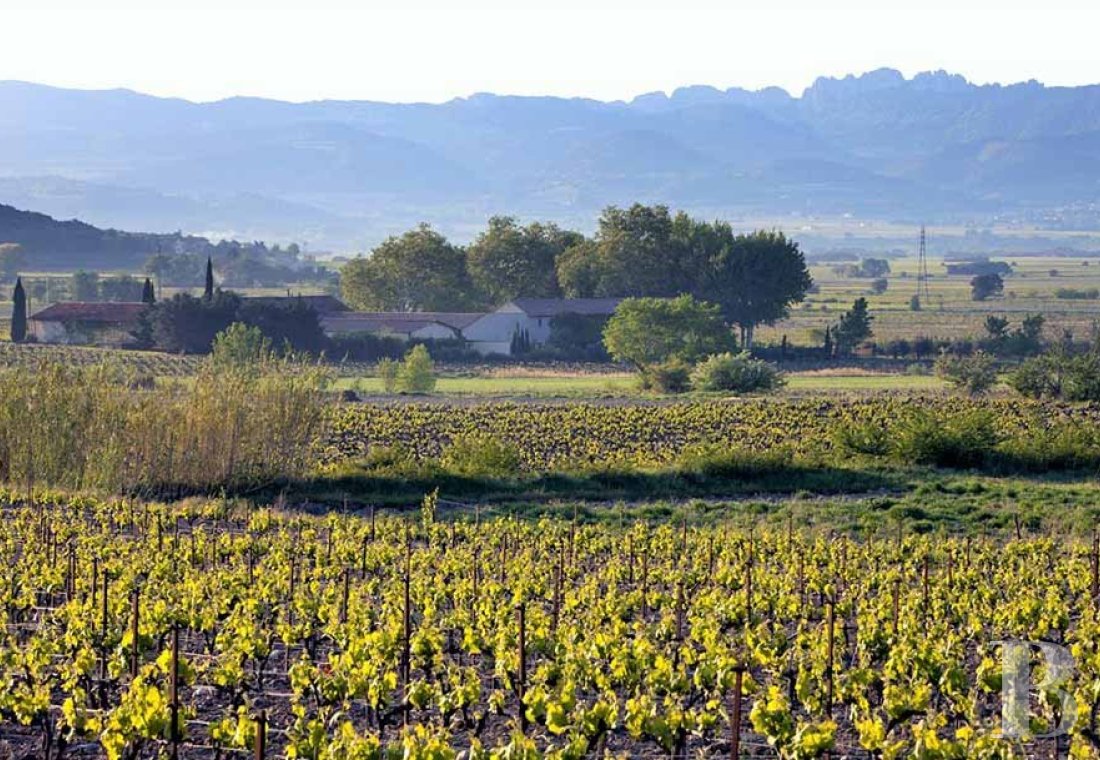 Dans le Vaucluse, au sud-est de Cairanne, une maison dédiée à la villégiature au cœur d’un domaine viticole  - photo  n°35