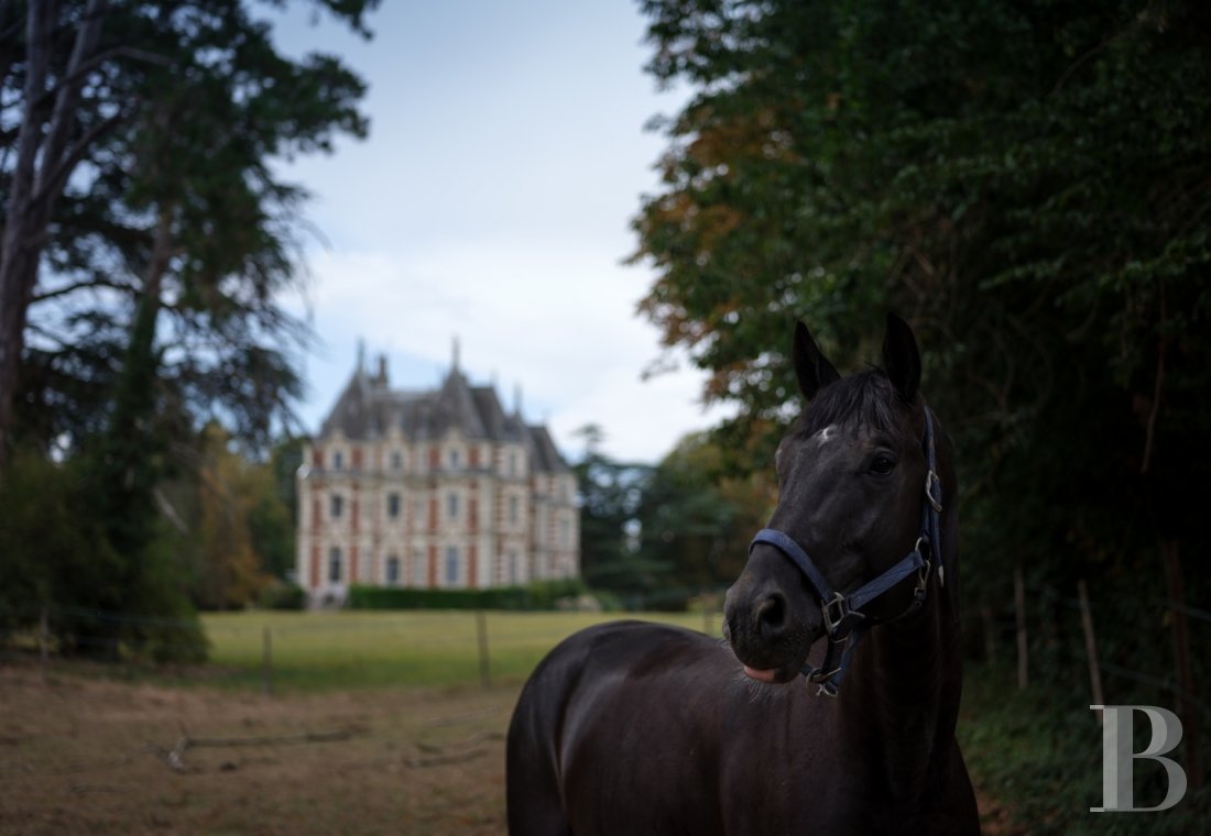 Entre Angers et Cholet, un château de famille entouré de ses terres - photo  n°6