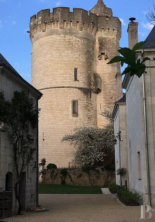 En Anjou, à l’ouest de Saumur,  un ancien presbytère du 18e siècle en bord de Loire pour de calmes séjours - photo  n°3