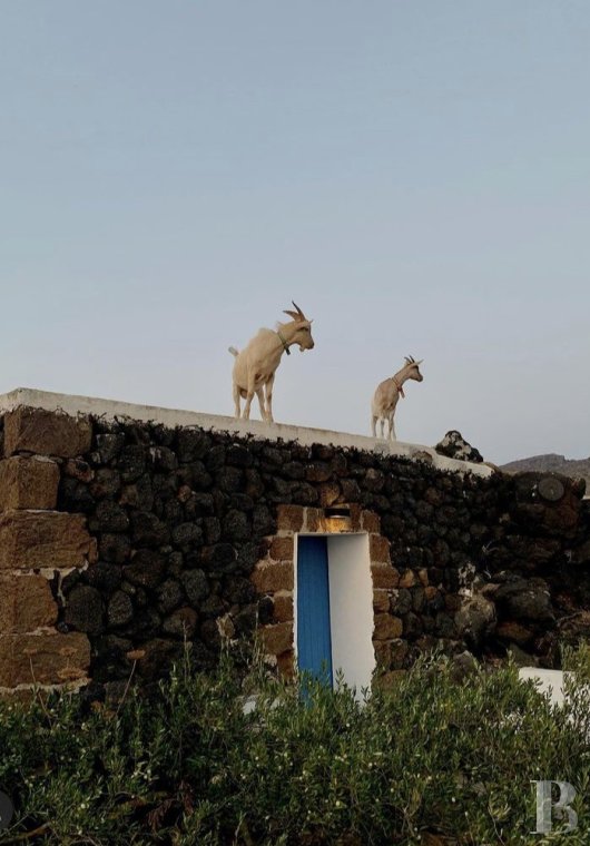 Sur l’île de Pantellaria, entre la Sicile et les côtes tunisiennes, un hameau de maisons traditionnelles en pierre de lave - photo  n°49