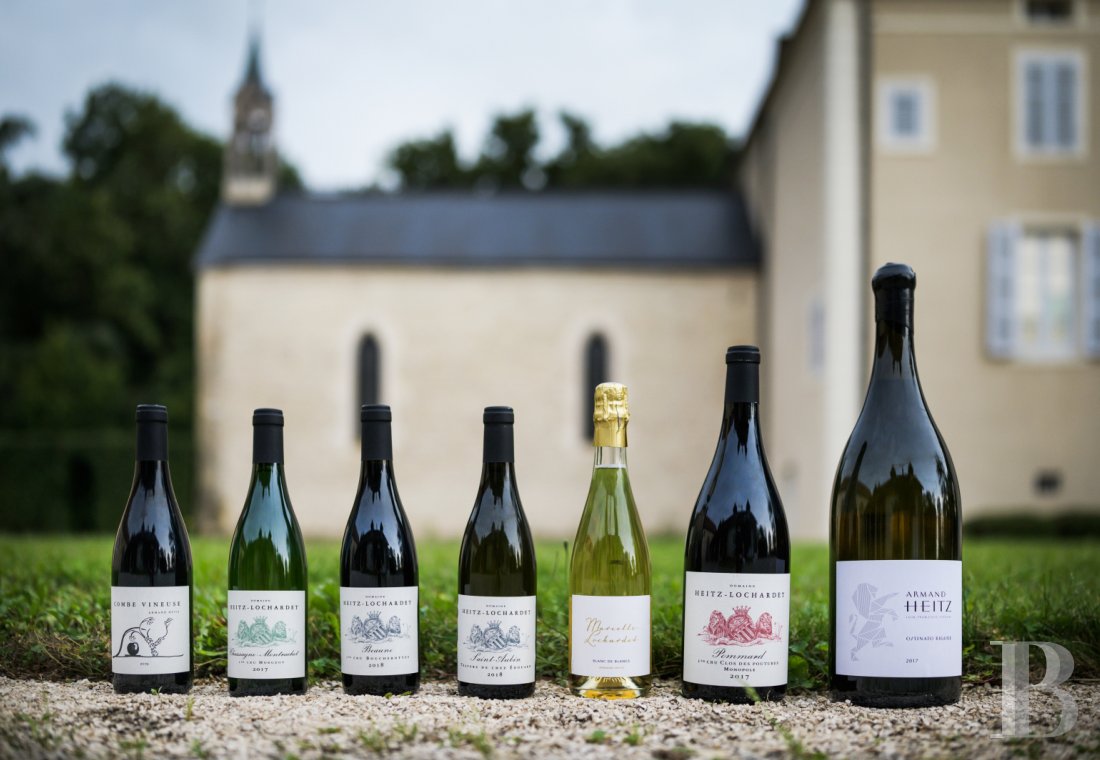En Bourgogne, au sud de Beaune, un château affilié aux grands vignobles et à la permaculture - photo  n°10
