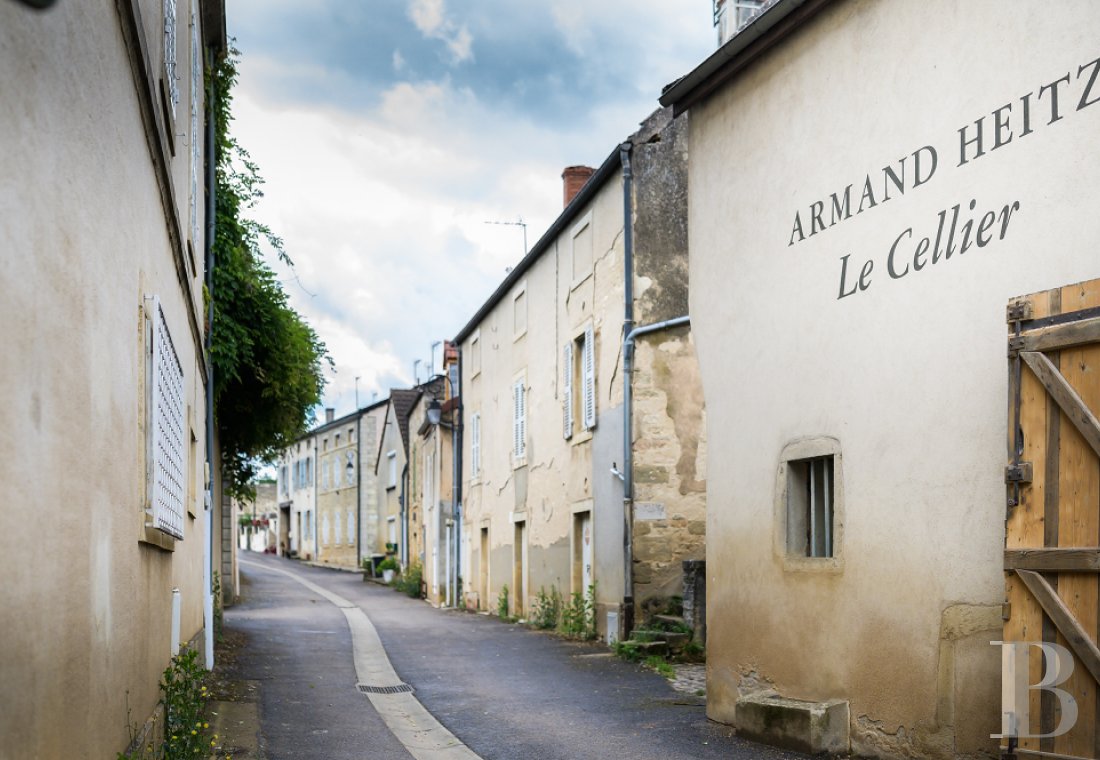 En Bourgogne, au sud de Beaune, un château affilié aux grands vignobles et à la permaculture - photo  n°11