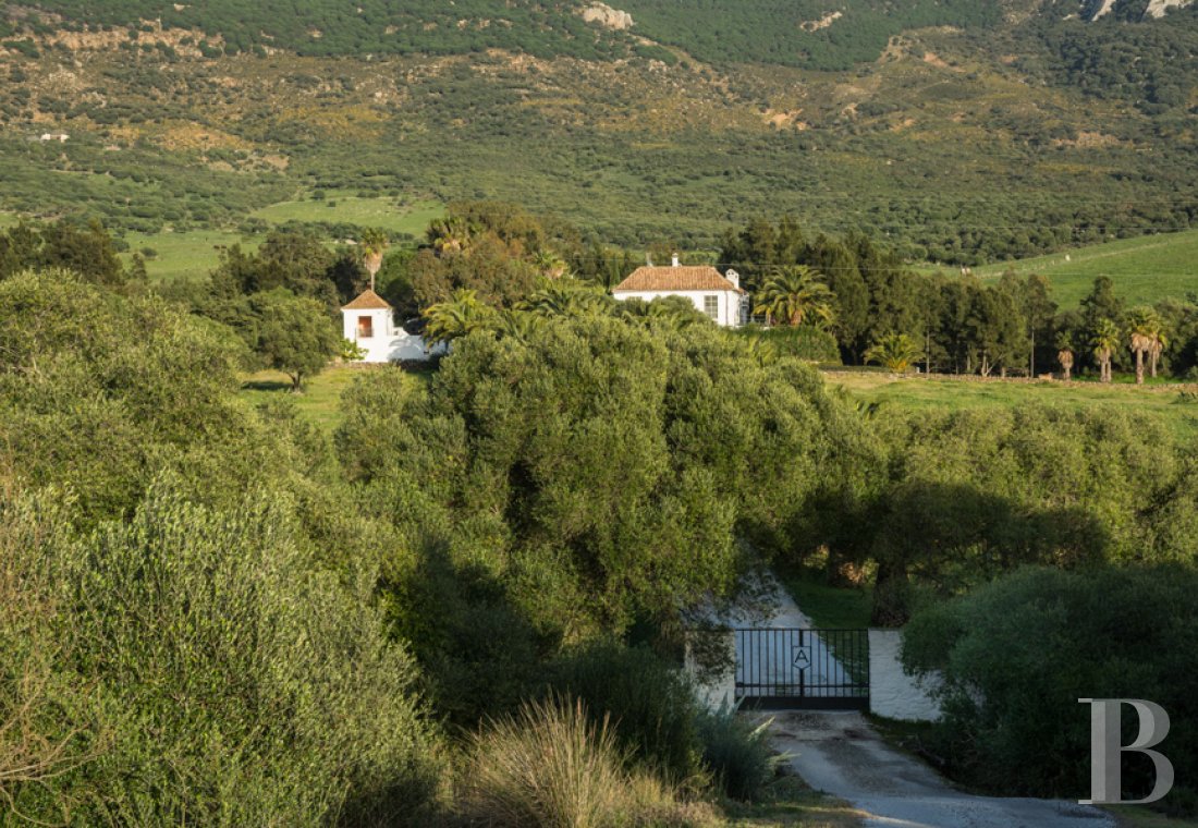 Dans le sud de l’Espagne, en Andalousie, un ancien « cortijo » dédié à la villégiature - photo  n°4