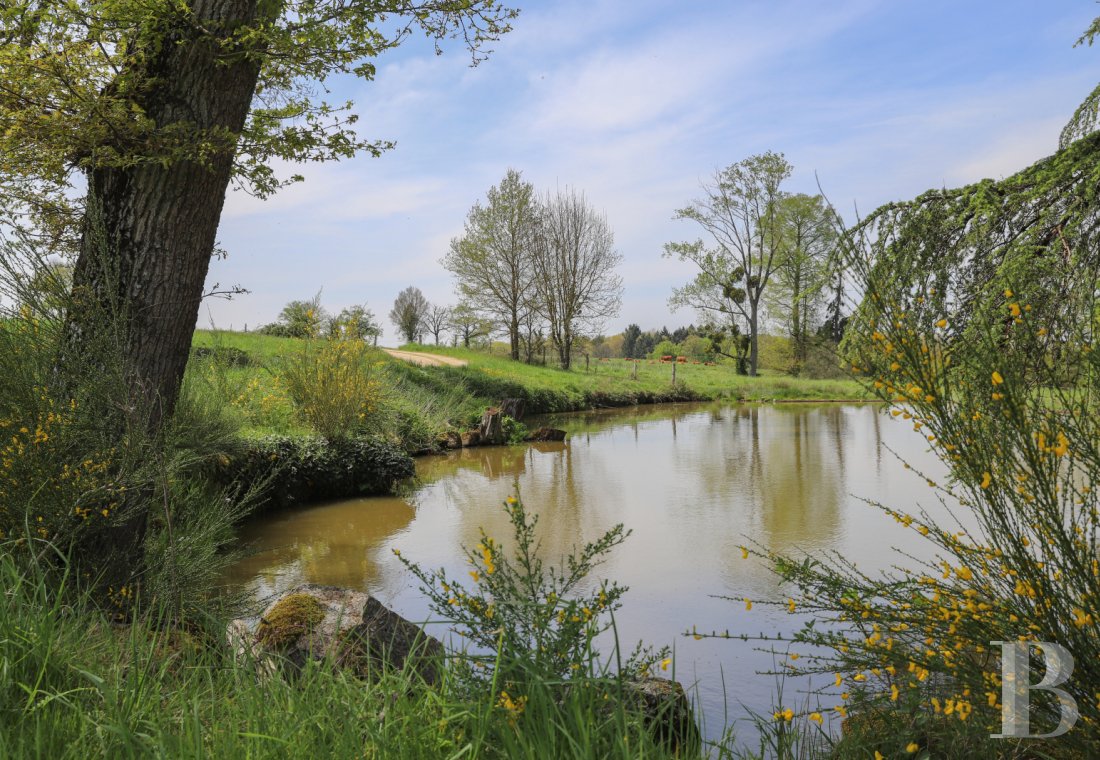manoirs a vendre poitou charentes   - 14