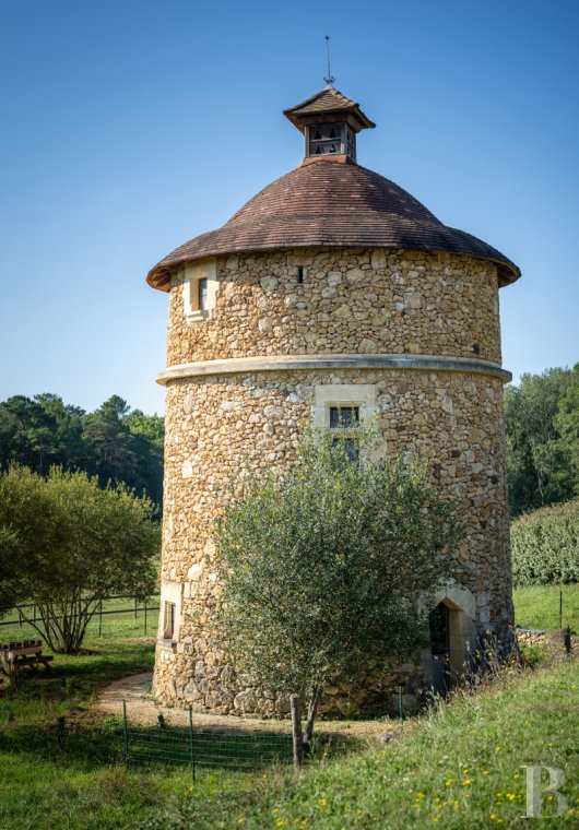 En Dordogne, entre Bergerac et Saint-Astier, un domaine du 14e siècle entouré de 13 hectares de bois et prairies - photo  n°57