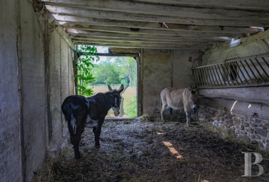 maisons de caractere a vendre bourgogne   - 14
