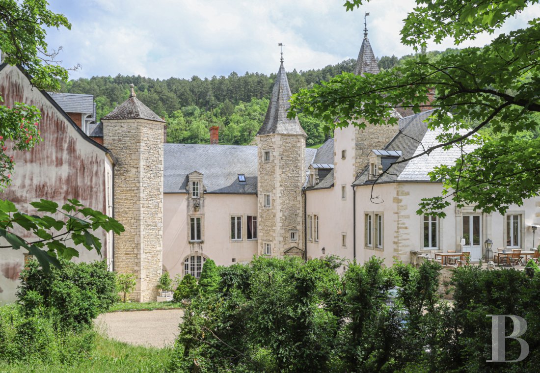 Au cœur de la Bourgogne et du vignoble d’Auxey-Duresses,  une propriété viticole et son château du 16ème siècle - photo  n°35