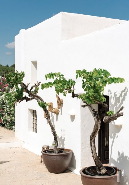 Sur l’île d’Ibiza, une « finca » du 18e siècle convertie en maison d’hôtes chic et intime - photo  n°2