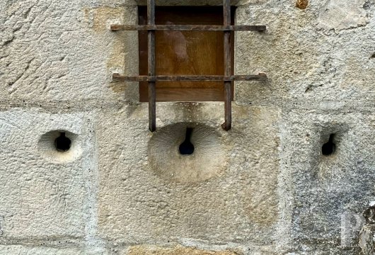 chateaux a vendre rhones alpes   - 5