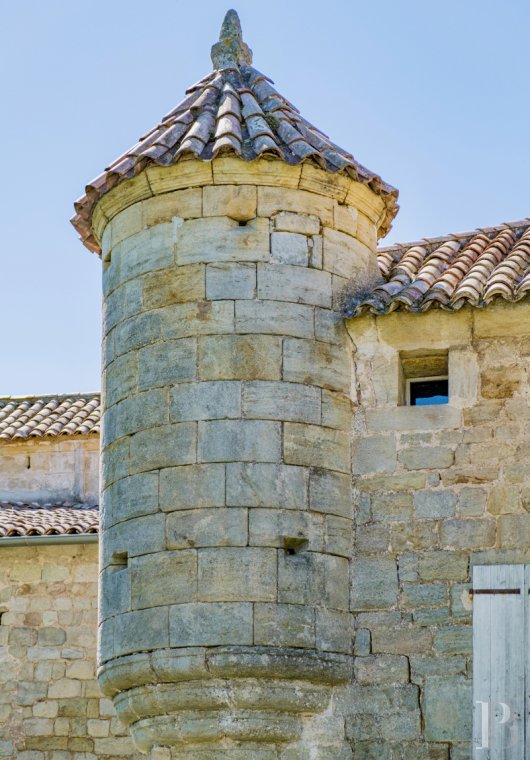 chateaux a vendre rhones alpes   - 28