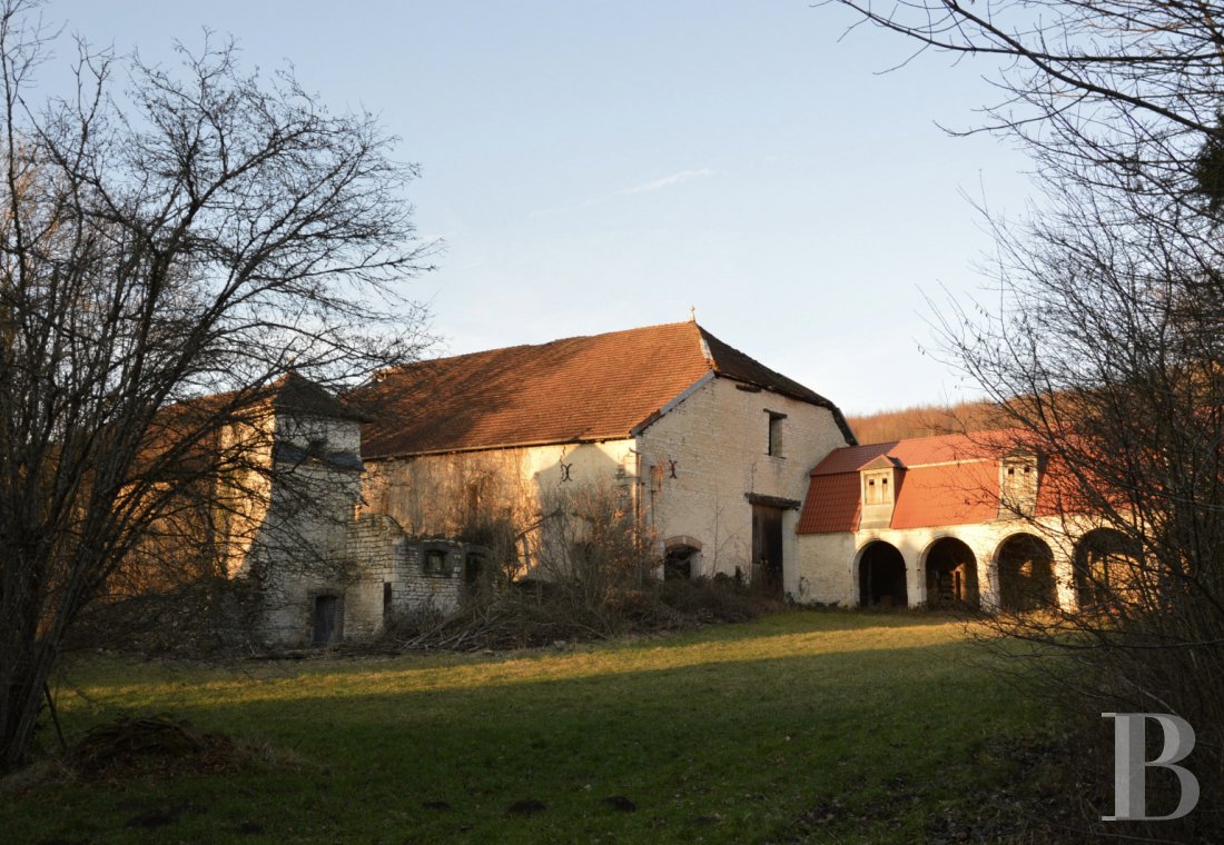 chateaux a vendre champagne ardennes chateau chasse - 7