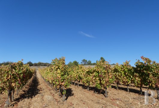 vignobles a vendre languedoc roussillon   - 13