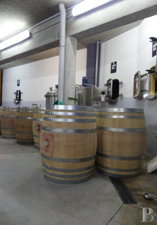 vignobles a vendre languedoc roussillon domaine viticole - 4