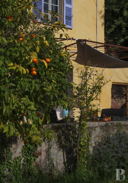 maisons de caractère à vendre - paca - À Cotignac, dans le Moyen Var,  une maison de village avec un jardin planté d'oliviers