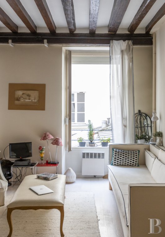 appartements a vendre paris   - 3