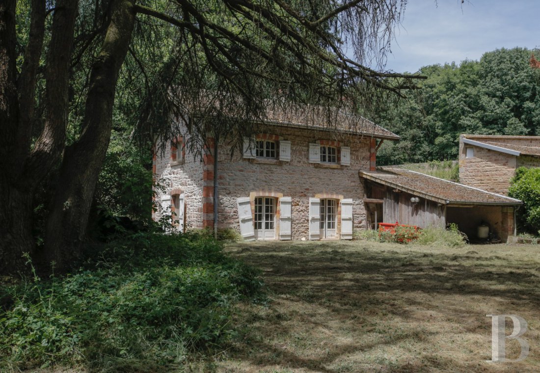chateaux a vendre bourgogne   - 16