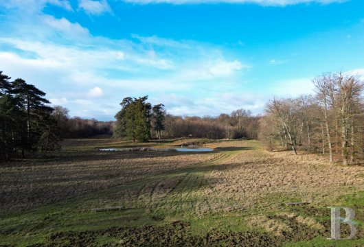 chateaux a vendre ile de france   - 36