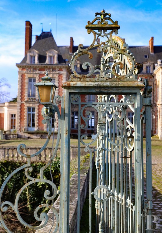 chateaux a vendre ile de france   - 4