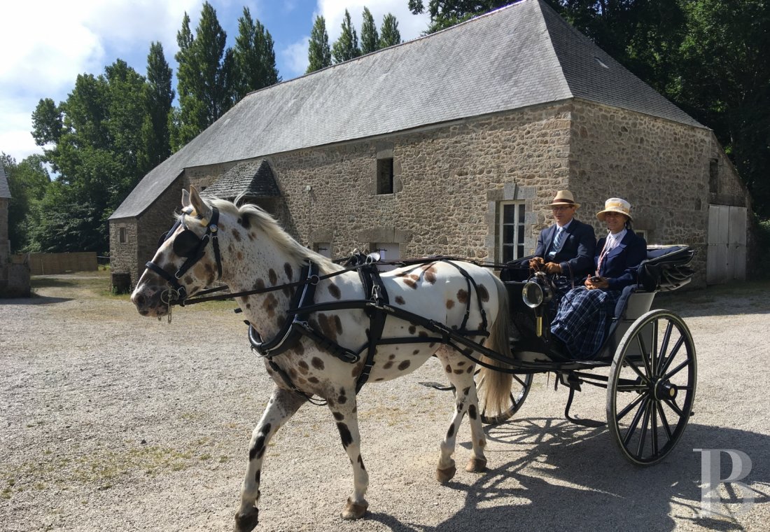 Dans le Cotentin, un château du 18e s.et ses dépendances rayonnant sur les hauteurs du Val de Saire - photo  n°14