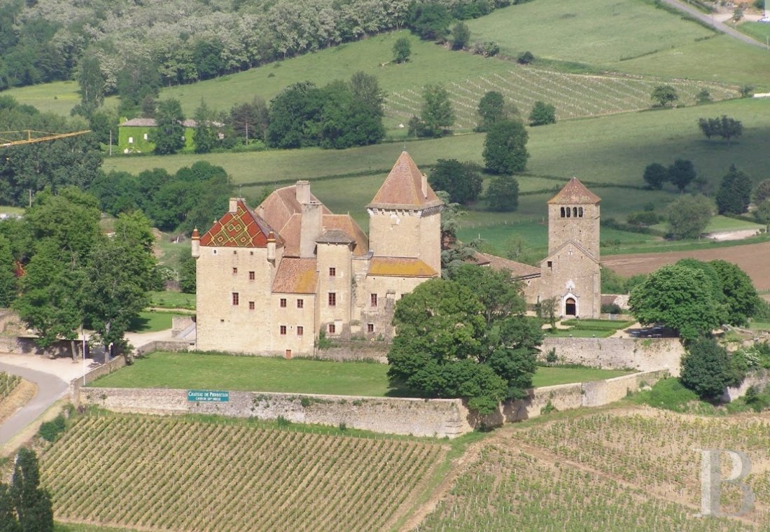 En Bourgogne, à proximité de Mâcon, un ancien château-fort régnant sur son vignoble et ses jardins - photo  n°9