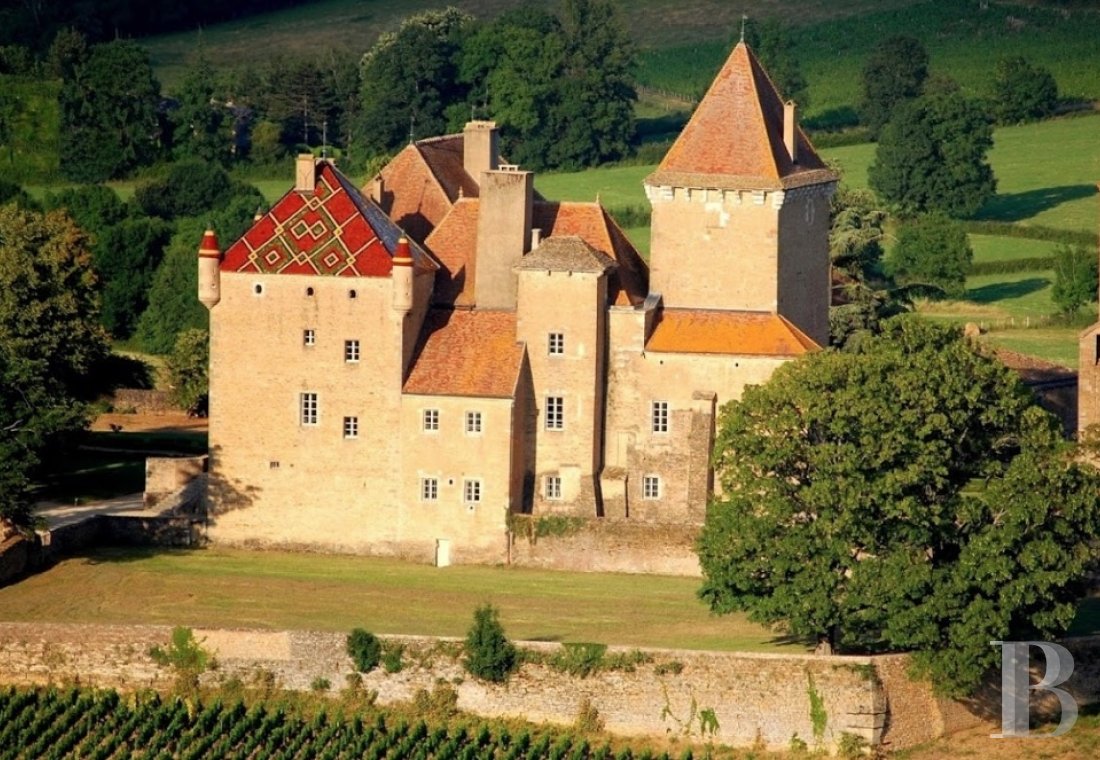 En Bourgogne, à proximité de Mâcon, un ancien château-fort régnant sur son vignoble et ses jardins - photo  n°6
