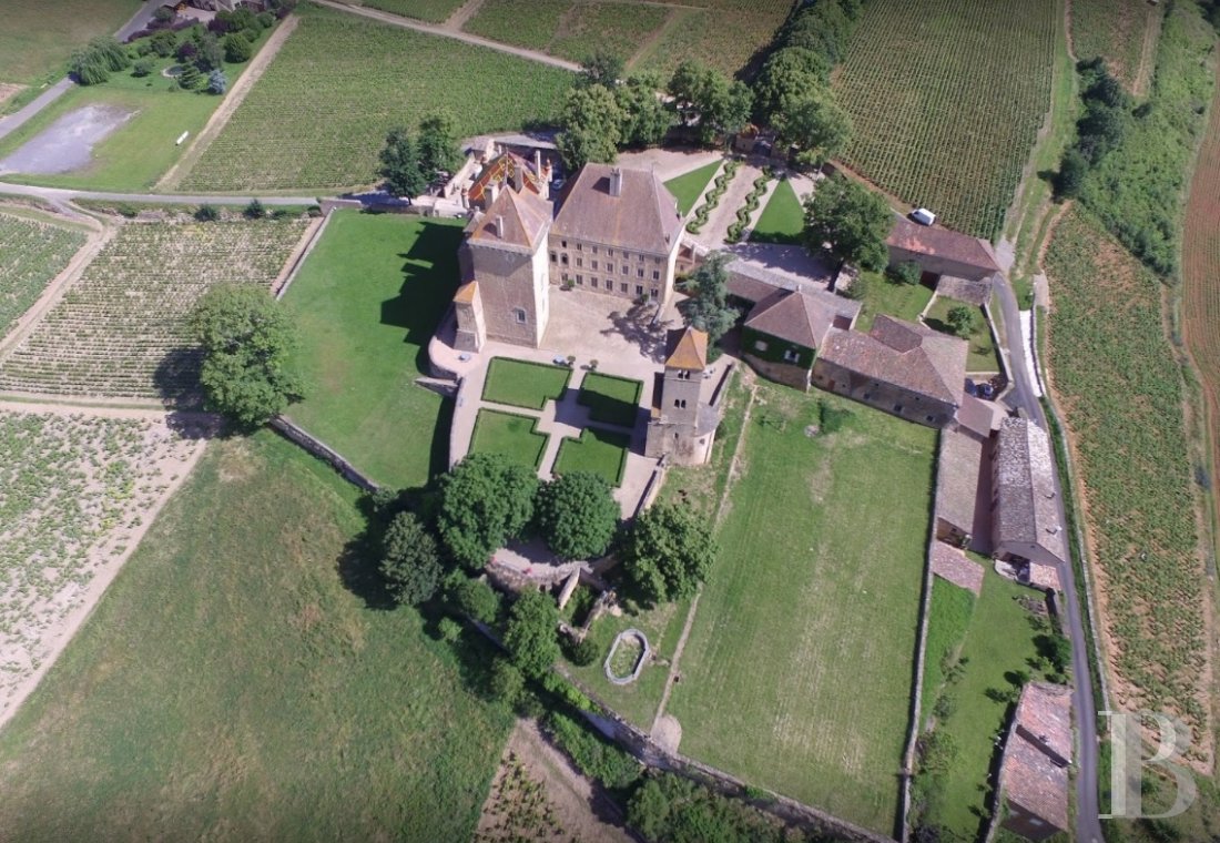 En Bourgogne, à proximité de Mâcon, un ancien château-fort régnant sur son vignoble et ses jardins - photo  n°4