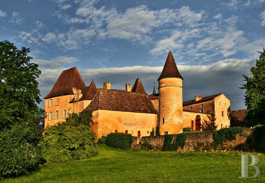 Entre Bergerac et Sarlat,  un château de famille non loin des méandres de la Dordogne - photo  n°5