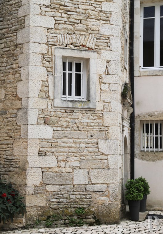 Au cœur de la Bourgogne et du vignoble d’Auxey-Duresses,  une propriété viticole et son château du 16ème siècle - photo  n°6