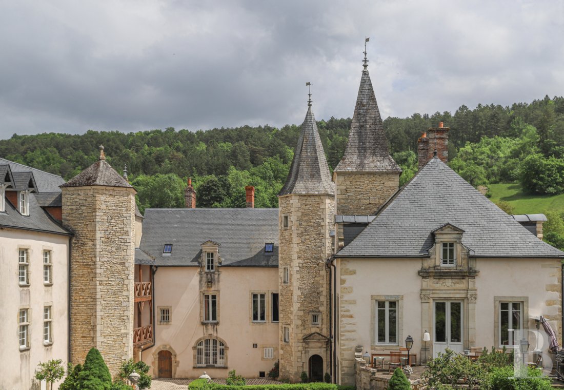 Au cœur de la Bourgogne et du vignoble d’Auxey-Duresses,  une propriété viticole et son château du 16ème siècle - photo  n°5