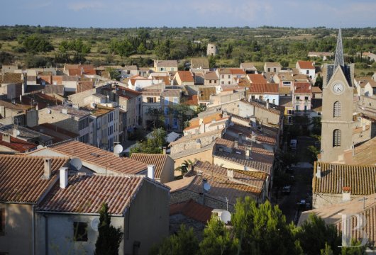 Sur une presqu’île dominée par le massif du Canigou,  une maison-galerie campée au cœur d’un village de pêcheurs et de vignerons - photo  n°2