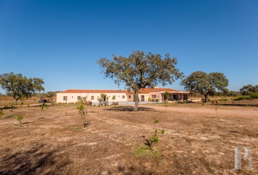 Proche du village pittoresque de Pavie, une propriété de 30 ha et sa villa aux inspirations africaines