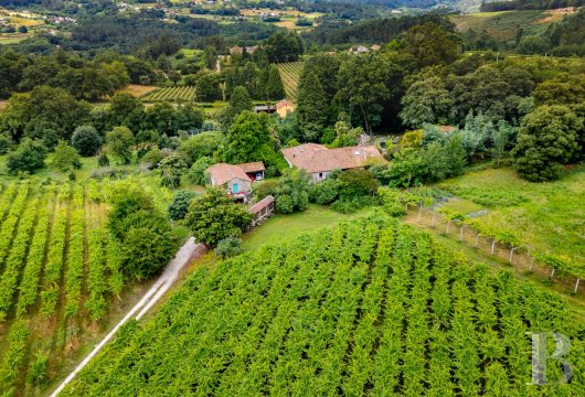 En Galice,  un presbytère historique du 15e siècle, son vignoble d'Albariño en production et sa dépendance ...