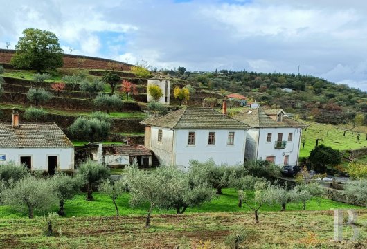 Dans l'Alto Douro, une quinta traditionnelle de 1939 à reconstruire sur 12 hectares d'oliviers et amandiers