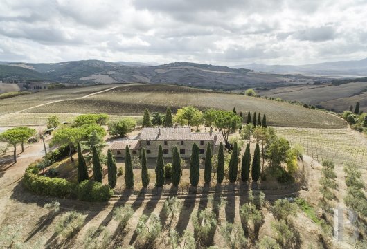 Au cœur des collines du Val d’Orcia, une demeure toscane et ses terres cultivées sur 5 ha