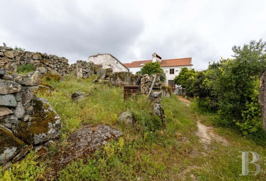 Aux abords immédiats de Santo António das Areias, deux bâtiments à réhabiliter et leurs 1 000 m² plantés
