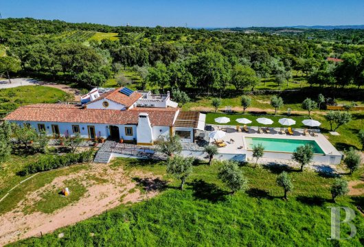 Au nord du barrage d'Alqueva, une villa alentejanaise et ses suites dans une oliveraie de 1,25 ha