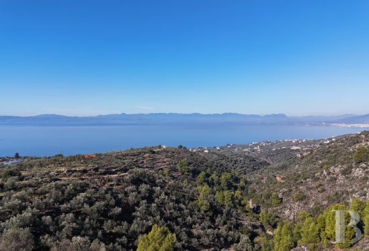 Dans le Péloponnèse, au-dessus de la baie de Kalamata, un terrain d'environ 5 000 m² en terrasses