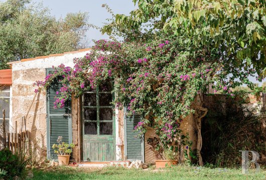 Dans la campagne de Ciutadella, à Minorque, une propriété de 7,5 ha avec bâtiment principal divisé en deux ...
