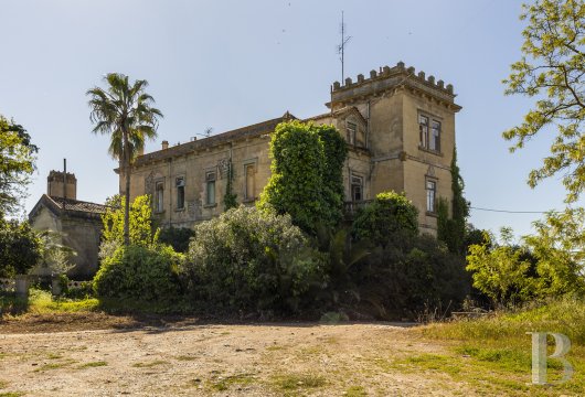 À Sousel, en Alentejo, un manoir avec tour et quelque 4 hectares de vignes en production