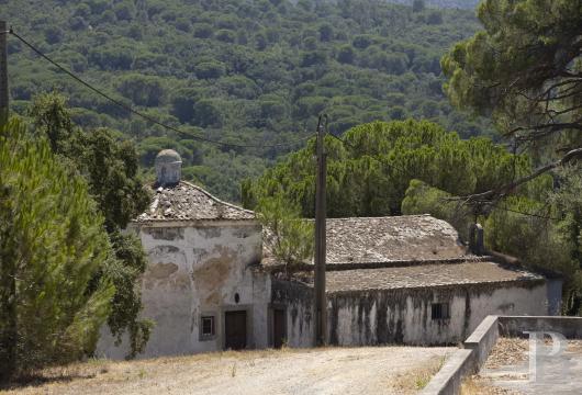 Dans le Parc Naturel de l'Arrábida, un domaine de 87 ha avec deux maisons, une chapelle et une ruine
