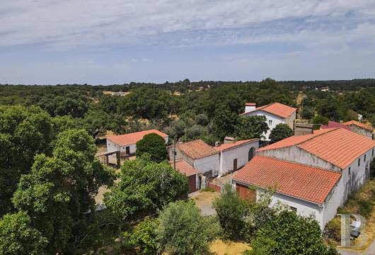 En Alentejo, une ferme rurale aux portes de Marvão, entre oliviers centenaires et Serra de São Mamede